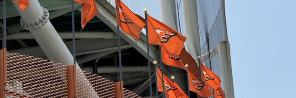 Chani__24 Profile Banner