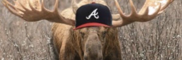 bravesmoose Profile Banner