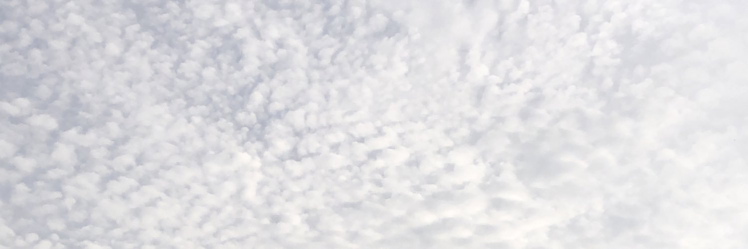 sunayoru's profile banner image