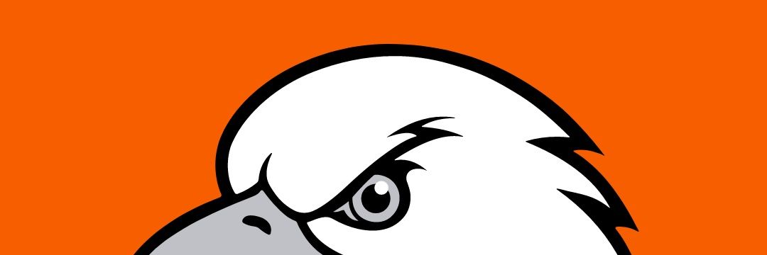 murillosouzaf's profile banner image