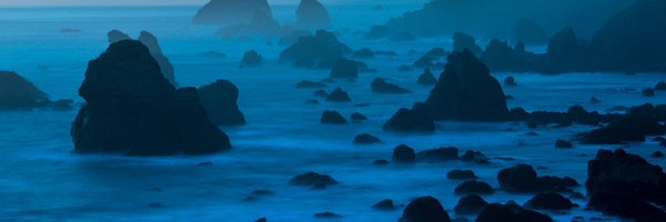 NemotheAli Profile Banner