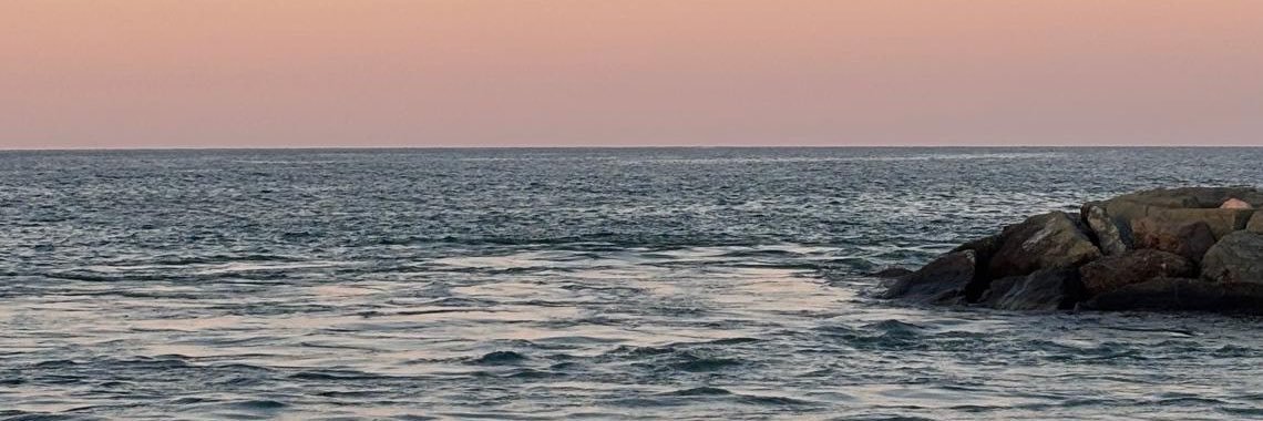 cactuslq's profile banner image
