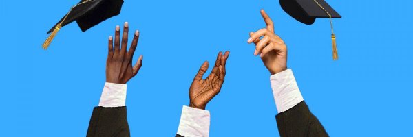 noblexperts Profile Banner