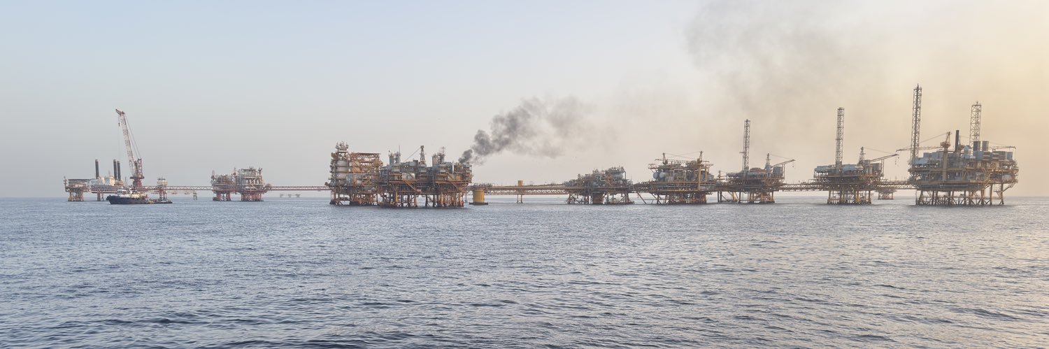 Sage Gaucho $👑 banner