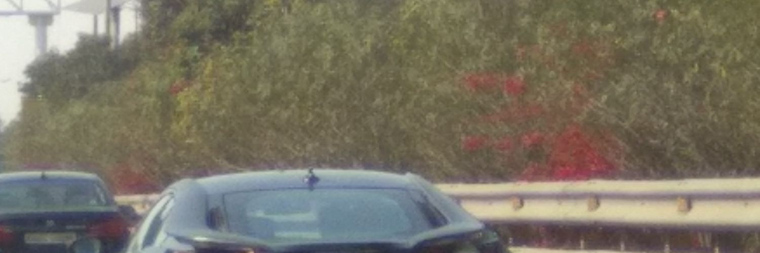 simplesatya's profile banner image