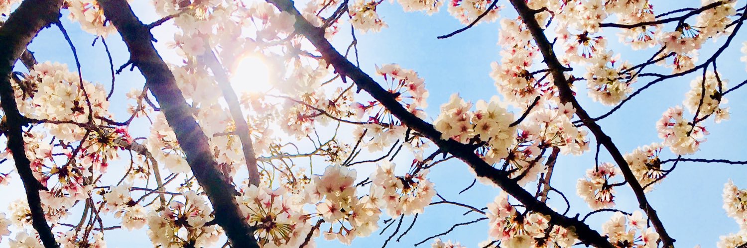 kinki_you_0128's profile banner image