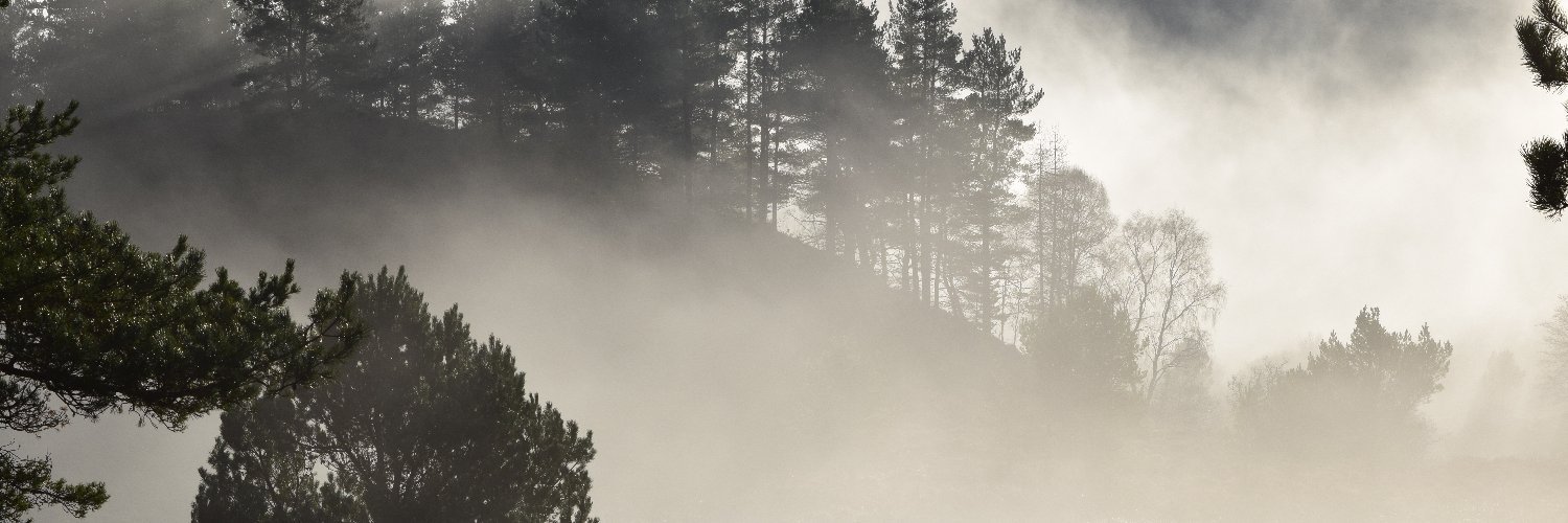 DBadenoch's profile banner image