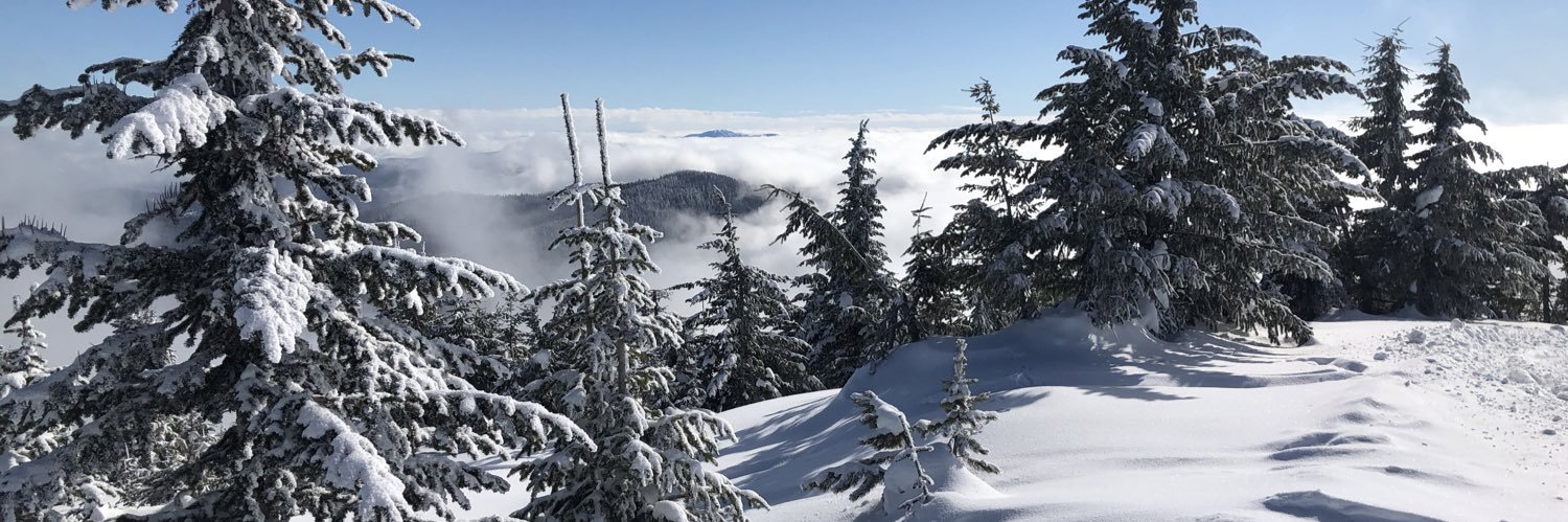 Jason Michael Bennetch banner