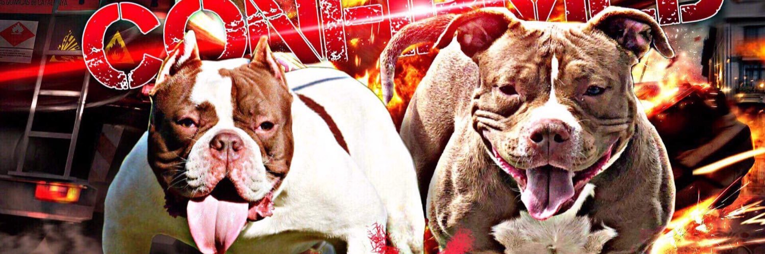__MoStaccs's profile banner image