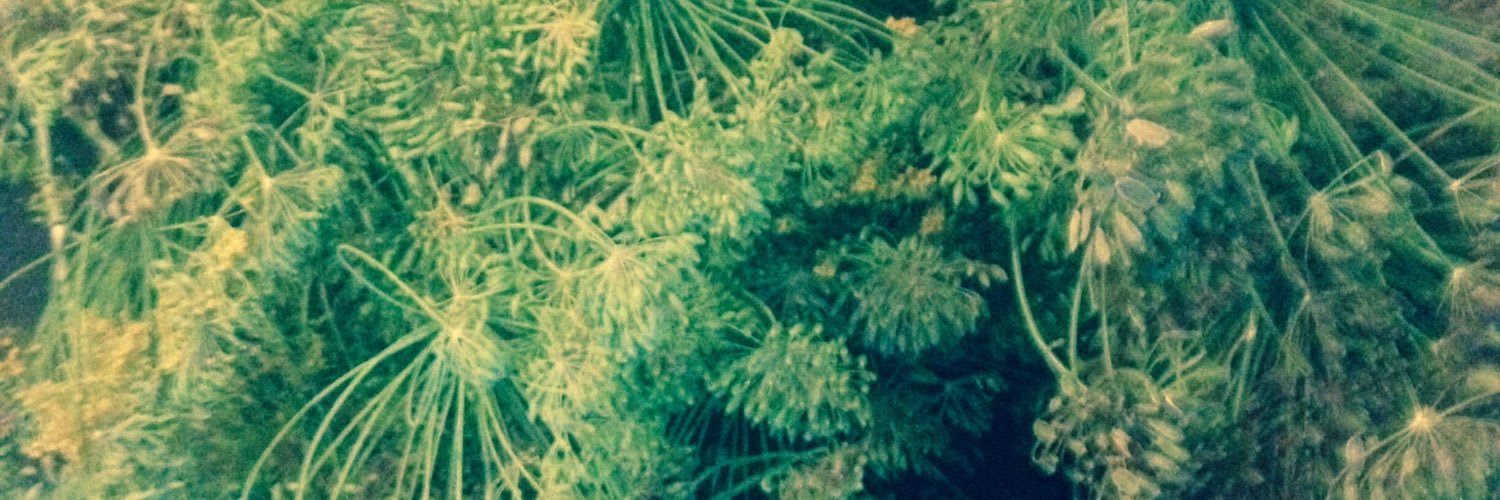 Iriska7300's profile banner image