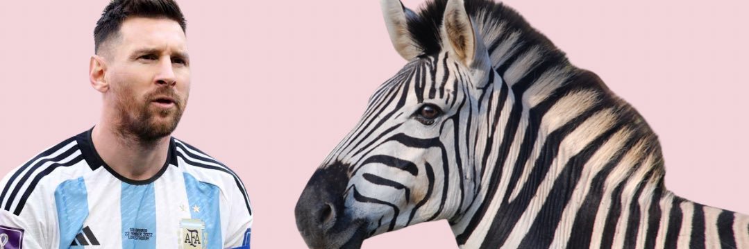 Zebrah banner