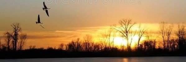 ~تـــــــــــــيــــــــــــه~'s banner