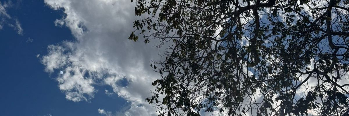 Daniela_Rhp's profile banner image