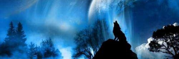 aidims Profile Banner