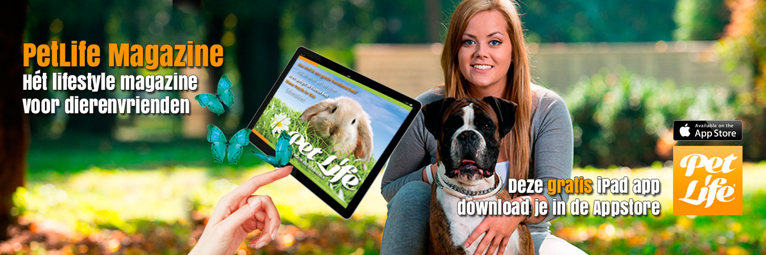 Pet Life Magazine banner