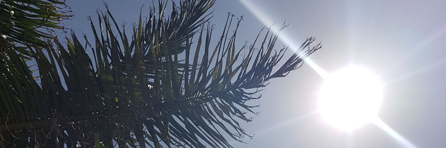 mrsbeeekeeper's profile banner image