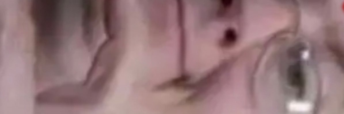 alfred fredoson 💆🏻‍♂️⛄️ banner