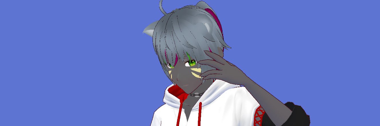 lasBwitz's profile banner image