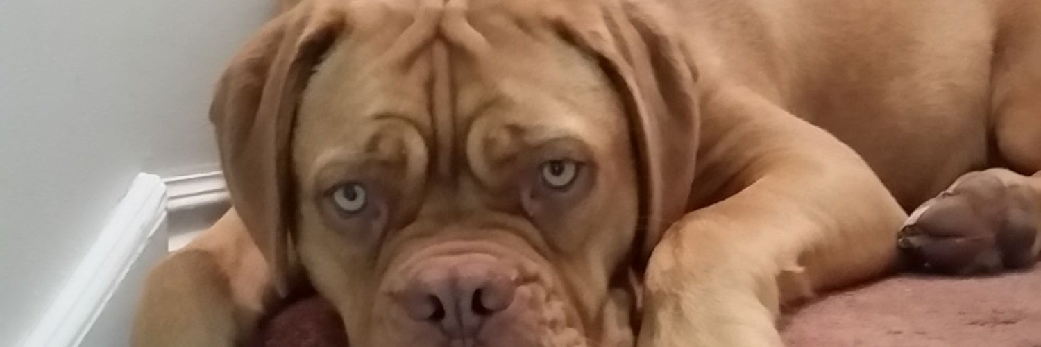 dyermike76's profile banner image