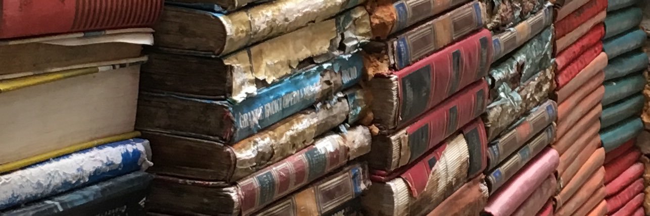 Meg 🇬🇧🇺🇸 banner