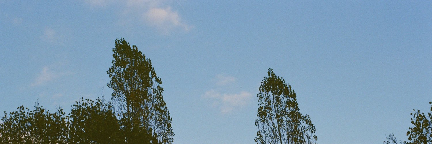 Michael James Dent banner