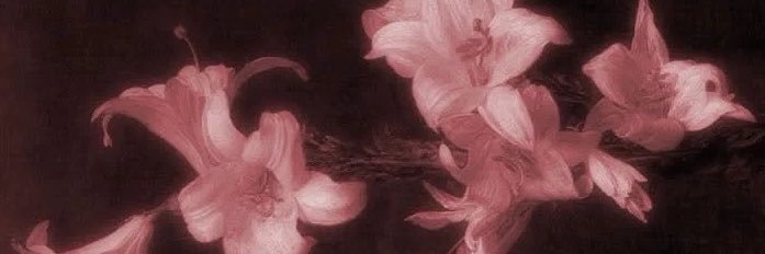 i_oxill's profile banner image