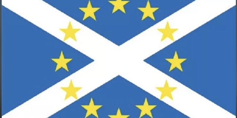 LynneMcCrae's profile banner image