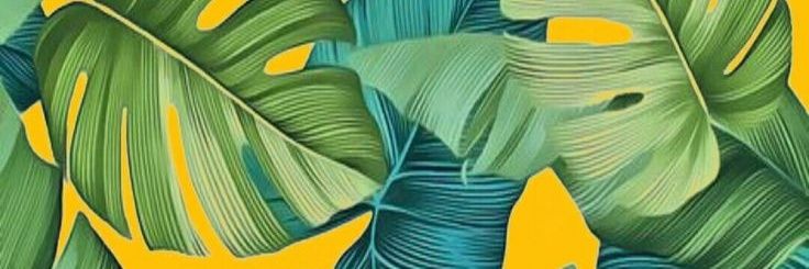 rossseeeee_'s profile banner image