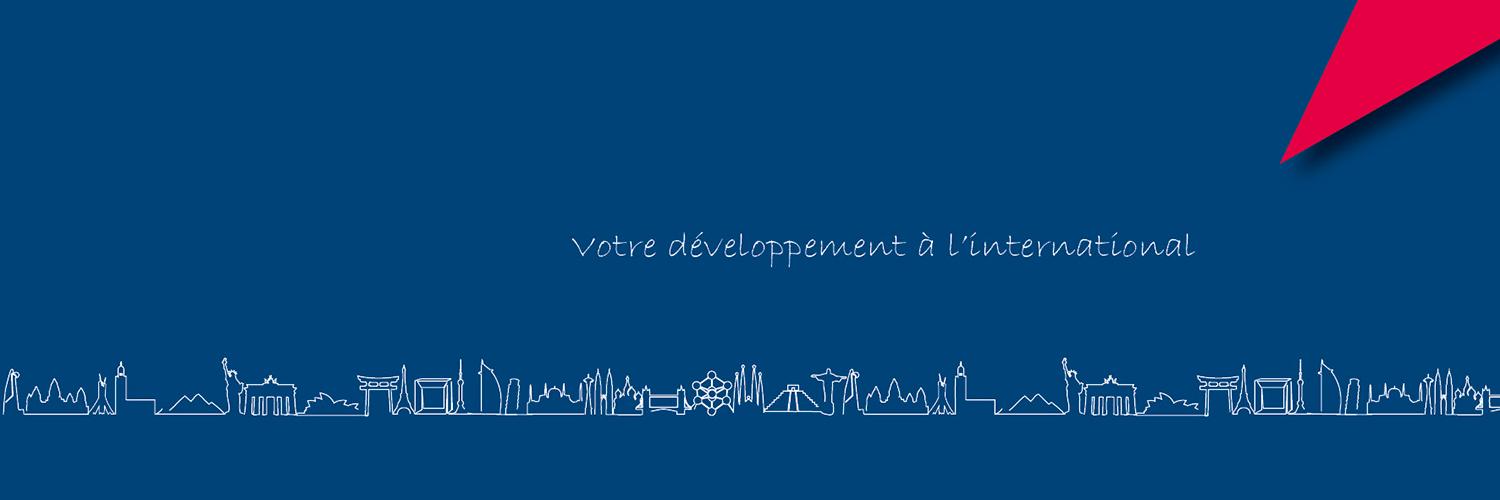 CCI Fr International banner