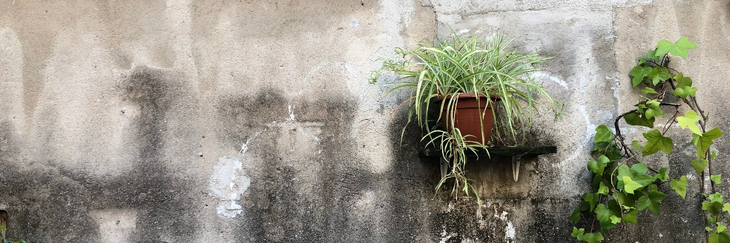 Fira del Llibre Únic banner