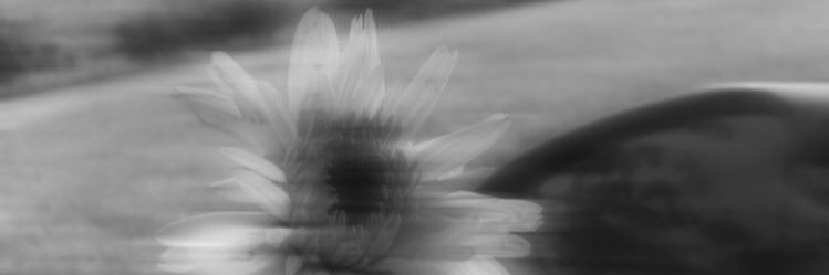 fnntya's profile banner image