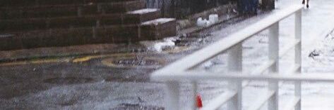 selenophile. banner