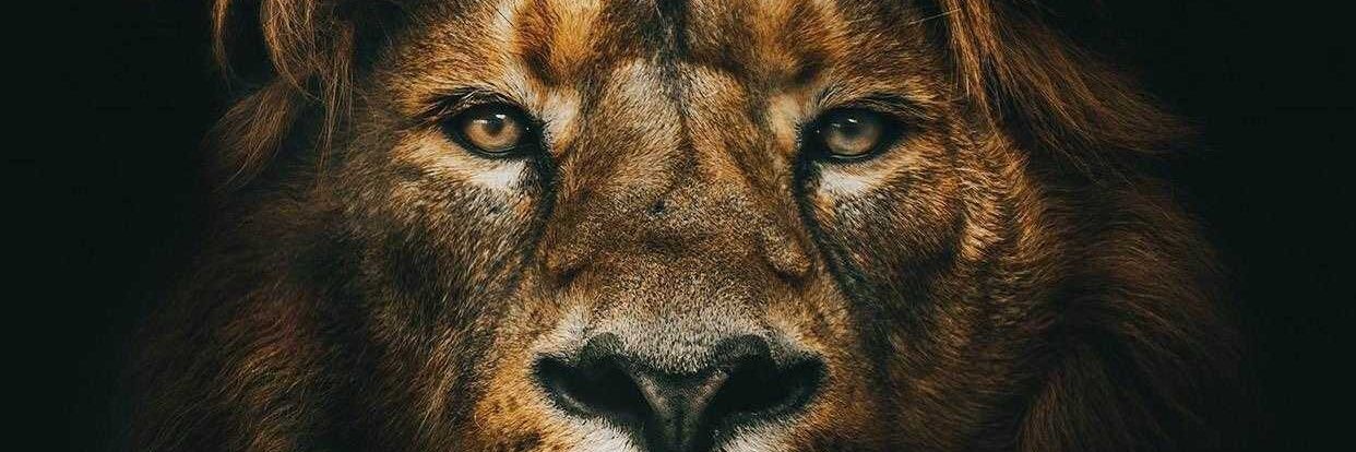 brais_villa's profile banner image
