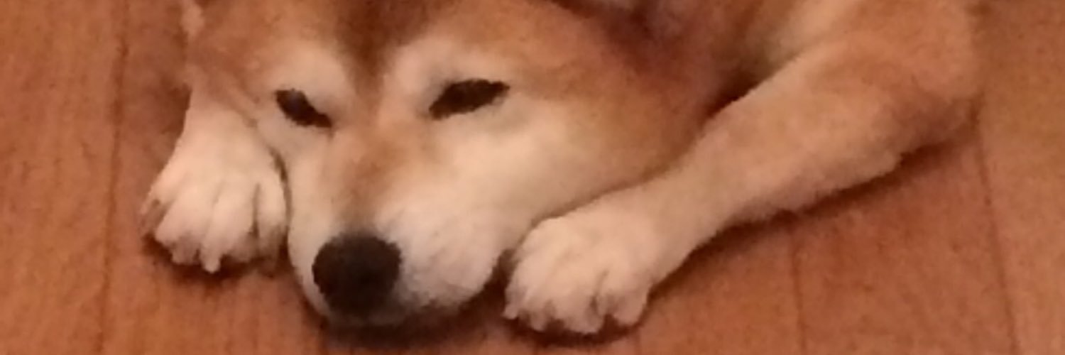 ujimitu's profile banner image