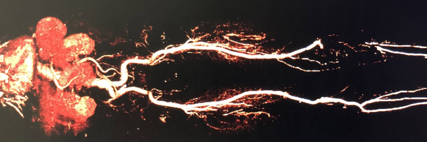 JFTOMASI's profile banner image