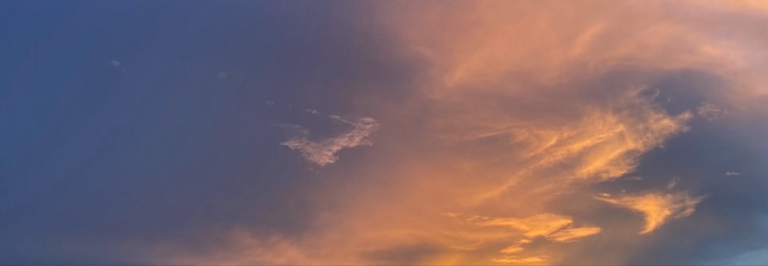 alam4tpalsu's profile banner image