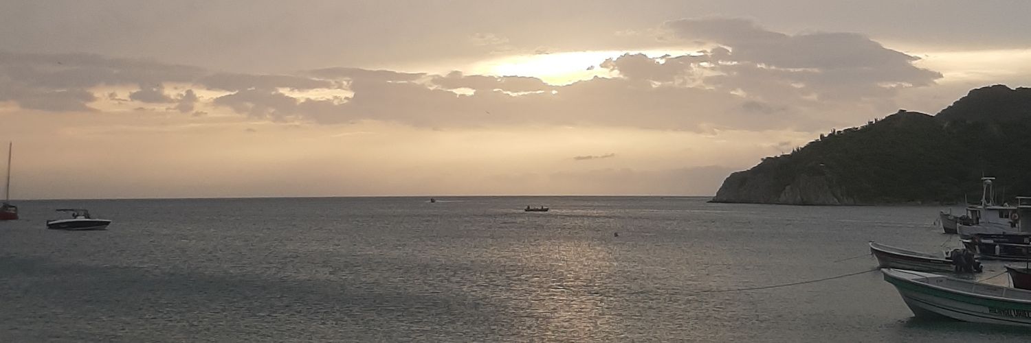 lvallemattos's profile banner image