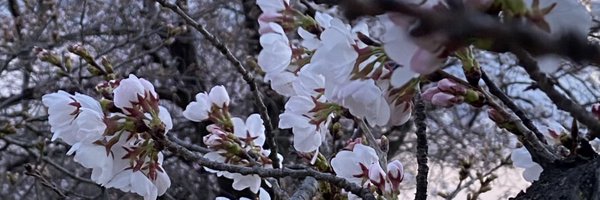 OPTslikNtbhs3Qg Profile Banner