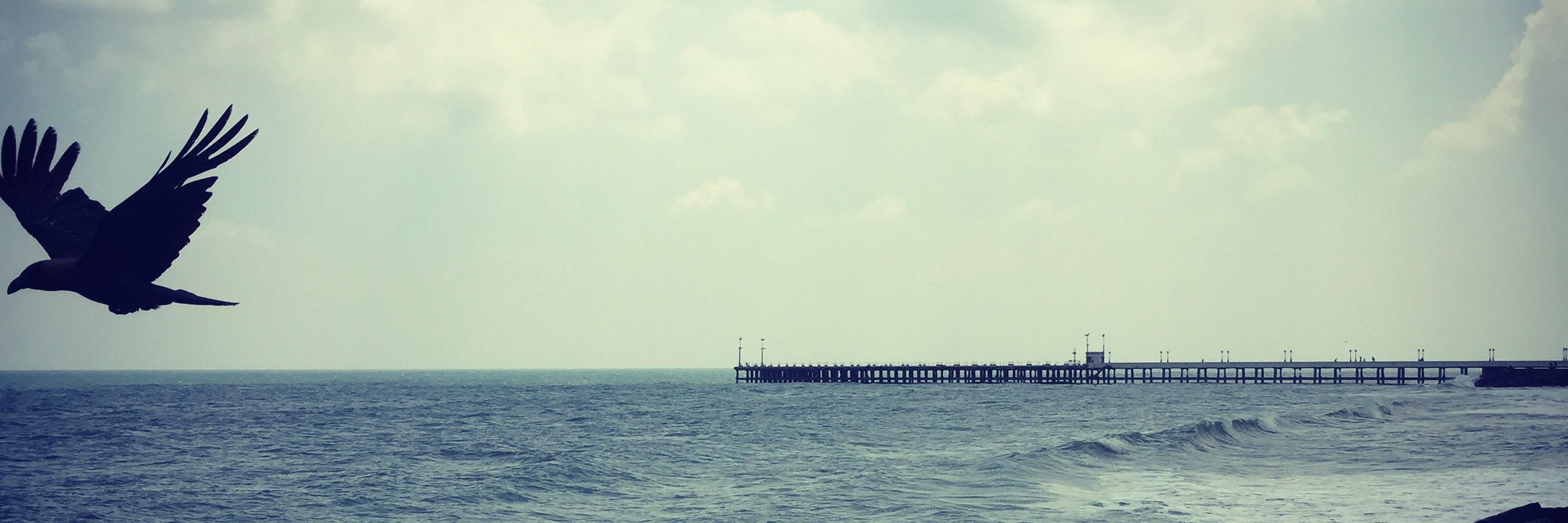 subydas's profile banner image