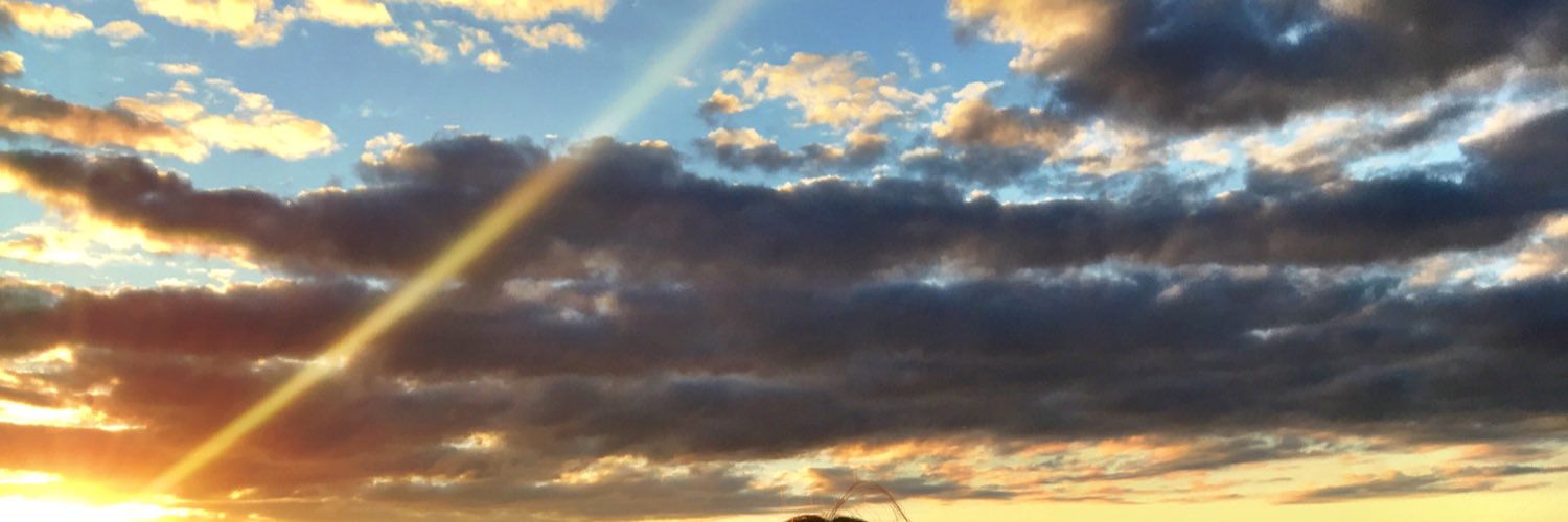 allishep's profile banner image