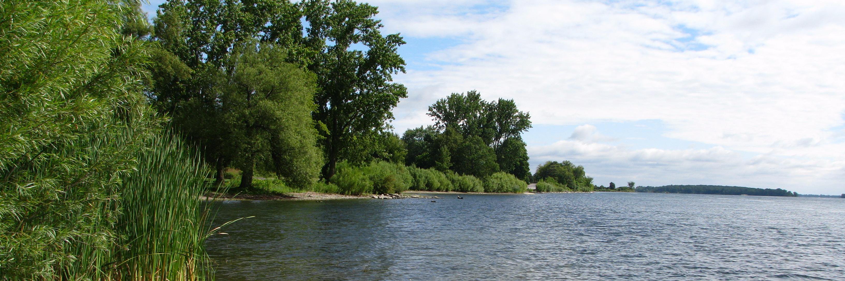 South Stormont banner