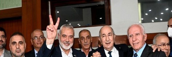 Hot zviti 🌶️ banner