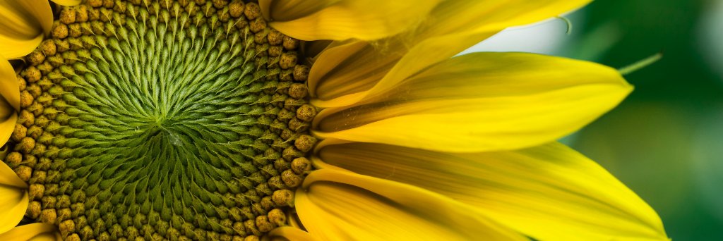 JaclynWalz's profile banner image