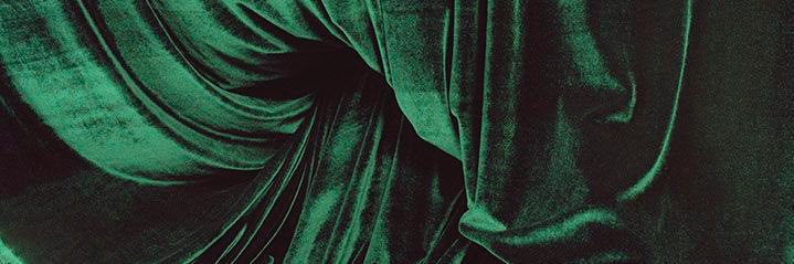 stephanie asals banner