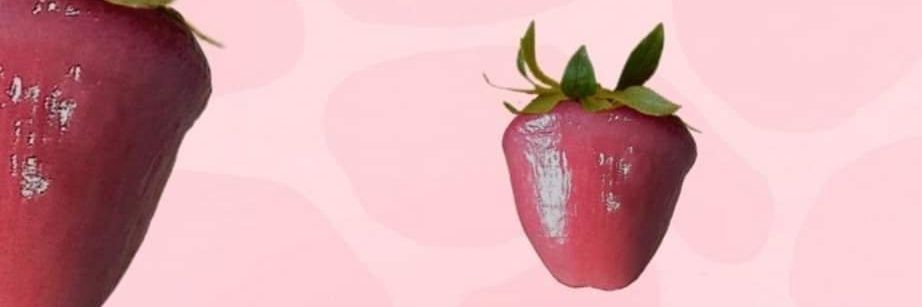 PigSize_btm banner