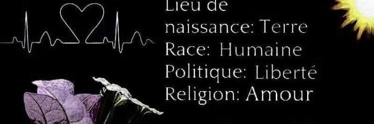 V49196776's profile banner image
