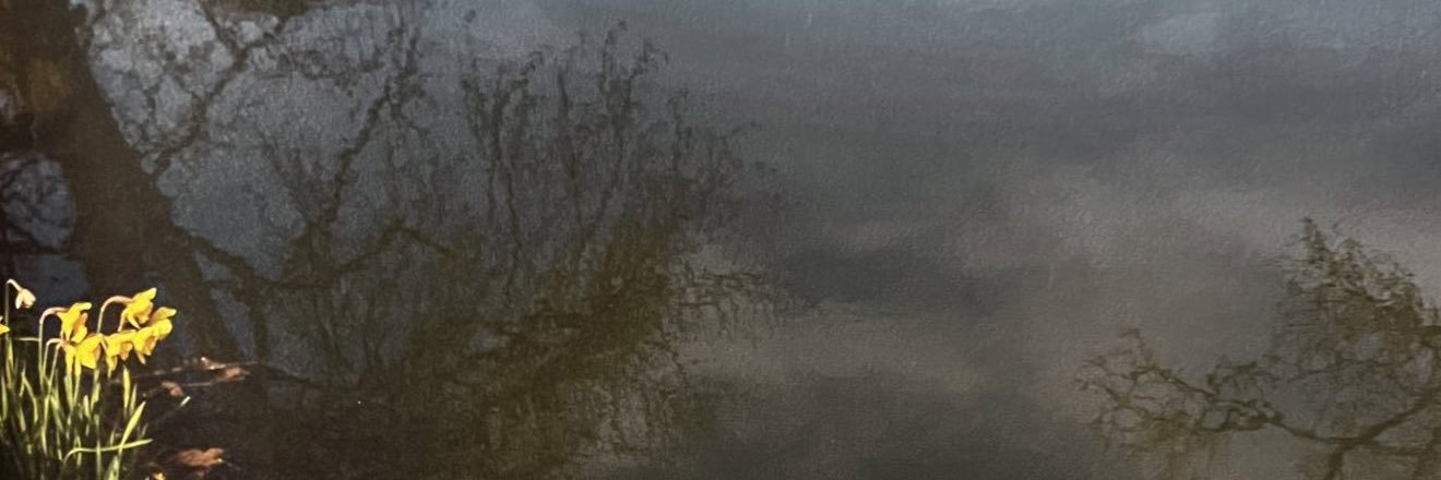 javi🍃 banner