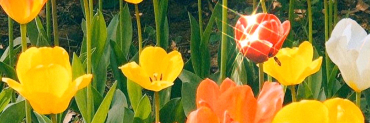 pausealittle's profile banner image