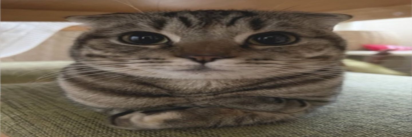 Expired_bacon55's profile banner image