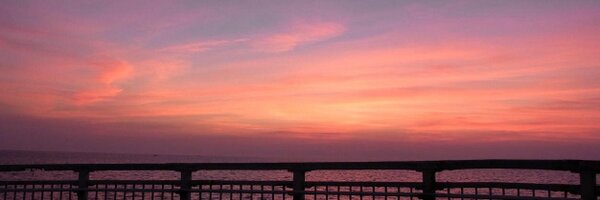 riei_yu Profile Banner